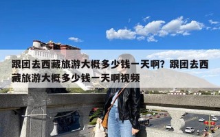 跟团去西藏旅游大概多少钱一天啊？跟团去西藏旅游大概多少钱一天啊视频