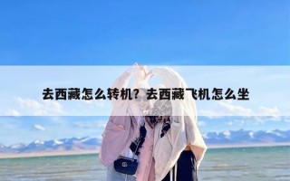 去西藏怎么转机？去西藏飞机怎么坐