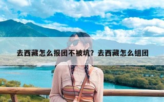 去西藏怎么报团不被坑？去西藏怎么组团