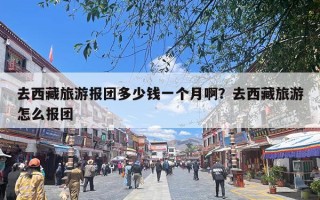 去西藏旅游报团多少钱一个月啊？去西藏旅游怎么报团
