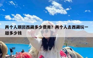 两个人跟团西藏多少费用？两个人去西藏玩一趟多少钱