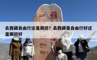 去西藏自由行还是跟团？去西藏是自由行好还是跟团好