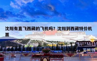 沈阳有直飞西藏的飞机吗？沈阳到西藏特价机票