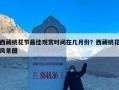 西藏桃花节最佳观赏时间在几月份？西藏桃花风景图