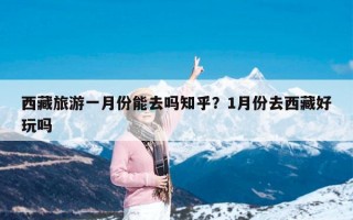 西藏旅游一月份能去吗知乎？1月份去西藏好玩吗