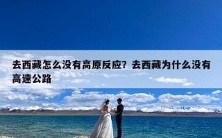 去西藏怎么没有高原反应？去西藏为什么没有高速公路