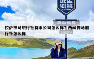 拉萨神马旅行社有限公司怎么样？西藏神马旅行社怎么样
