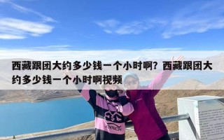 西藏跟团大约多少钱一个小时啊？西藏跟团大约多少钱一个小时啊视频