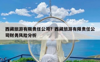 西藏旅游有限责任公司？西藏旅游有限责任公司财务风险分析