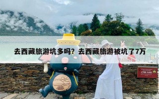 去西藏旅游坑多吗？去西藏旅游被坑了7万