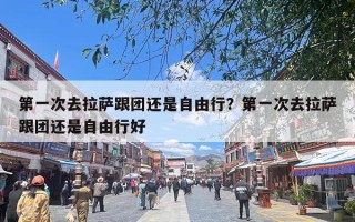 第一次去拉萨跟团还是自由行？第一次去拉萨跟团还是自由行好