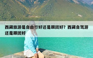 西藏旅游是自由行好还是跟团好？西藏自驾游还是跟团好