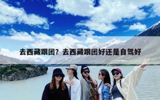 去西藏跟团？去西藏跟团好还是自驾好
