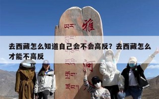 去西藏怎么知道自己会不会高反？去西藏怎么才能不高反