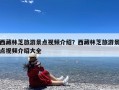 西藏林芝旅游景点视频介绍？西藏林芝旅游景点视频介绍大全