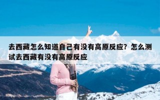 去西藏怎么知道自己有没有高原反应？怎么测试去西藏有没有高原反应