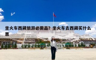 坐火车西藏旅游必需品？坐火车去西藏买什么票
