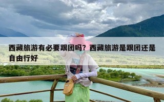 西藏旅游有必要跟团吗？西藏旅游是跟团还是自由行好