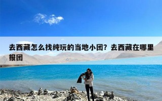 去西藏怎么找纯玩的当地小团？去西藏在哪里报团