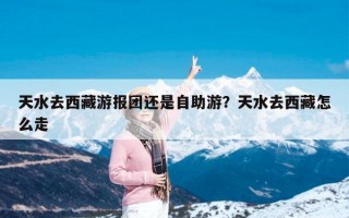天水去西藏游报团还是自助游？天水去西藏怎么走