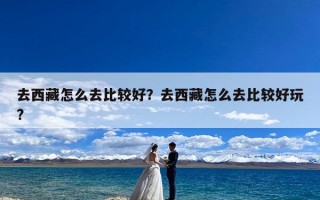 去西藏怎么去比较好？去西藏怎么去比较好玩?