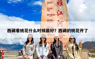 西藏看桃花什么时候最好？西藏的桃花开了