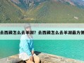 去西藏怎么去羊湖？去西藏怎么去羊湖最方便