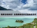 西藏当地参团？去西藏参团好还是独自去好