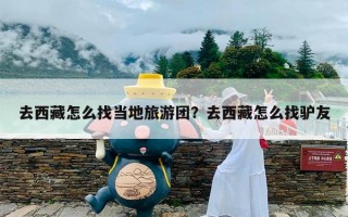 去西藏怎么找当地旅游团？去西藏怎么找驴友