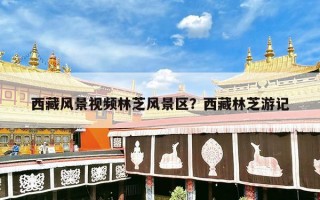 西藏风景视频林芝风景区？西藏林芝游记