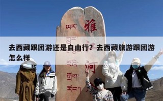 去西藏跟团游还是自由行？去西藏旅游跟团游怎么样