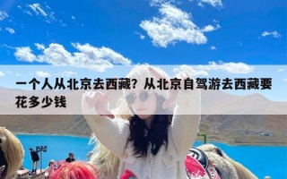 一个人从北京去西藏？从北京自驾游去西藏要花多少钱