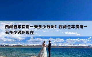 西藏包车费用一天多少钱啊？西藏包车费用一天多少钱啊现在