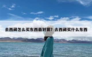 去西藏怎么买东西最划算？去西藏买什么东西