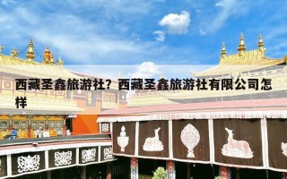 西藏圣鑫旅游社？西藏圣鑫旅游社有限公司怎样