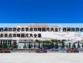 西藏旅游必去景点攻略图片大全？西藏旅游必去景点攻略图片大全集