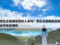 现在去西藏旅游的人多吗？现在去西藏旅游安全吗有疫情吗