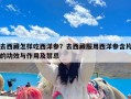 去西藏怎样吃西洋参？去西藏服用西洋参含片的功效与作用及禁忌