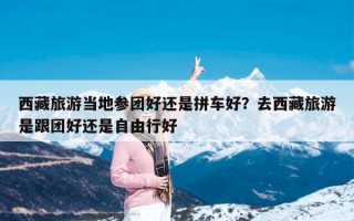 西藏旅游当地参团好还是拼车好？去西藏旅游是跟团好还是自由行好