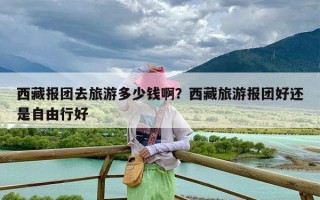 西藏报团去旅游多少钱啊？西藏旅游报团好还是自由行好