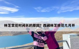 林芝赏花时间长的原因？西藏林芝挑花几月开