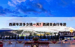 西藏导游多少钱一天？西藏自由行导游