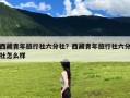 西藏青年旅行社六分社？西藏青年旅行社六分社怎么样