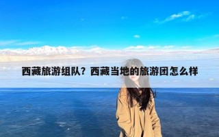 西藏旅游组队？西藏当地的旅游团怎么样