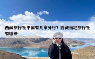 西藏旅行社中国有几家分行？西藏当地旅行社有哪些