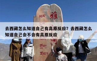 去西藏怎么知道自己有高原反应？去西藏怎么知道自己会不会有高原反应
