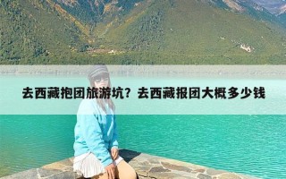 去西藏抱团旅游坑？去西藏报团大概多少钱