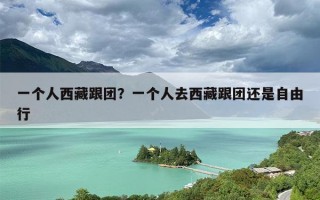 一个人西藏跟团？一个人去西藏跟团还是自由行