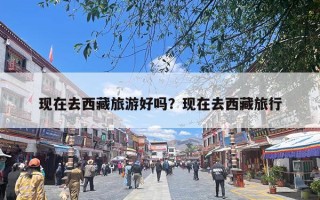 现在去西藏旅游好吗？现在去西藏旅行