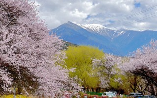3月份拉萨至林芝三日游费用多少？三月份拉萨至林芝3日游省心游玩攻略？